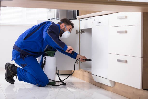 man spraying pesticide inside the wooden cabinet in the kitchen